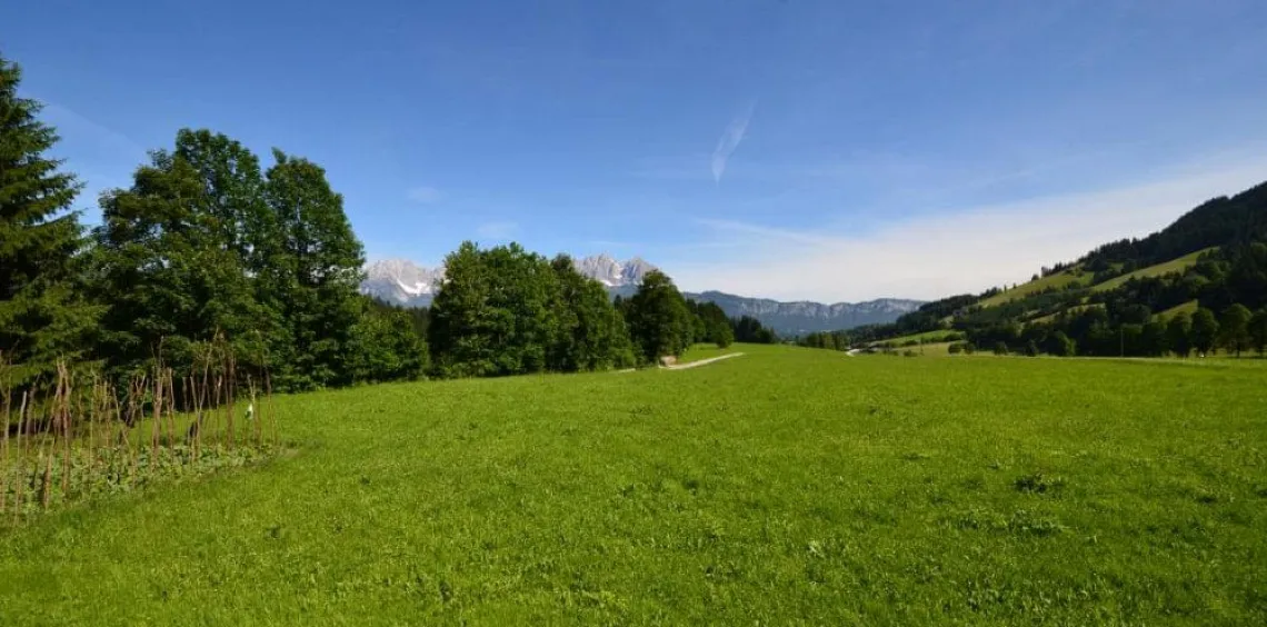 mfimmobilienlandhaus1.jpg